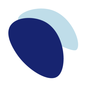 Diplomado Internacional